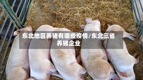 东北地区养猪有哪些疫情/东北三省养猪企业