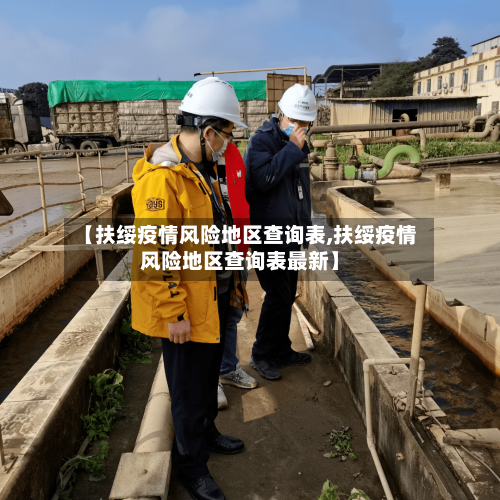 【扶绥疫情风险地区查询表,扶绥疫情风险地区查询表最新】