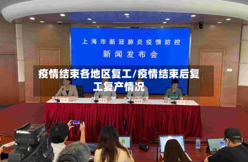 疫情结束各地区复工/疫情结束后复工复产情况