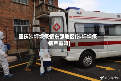 重庆沙坪坝疫情东部地区(沙坪坝疫情严重吗)