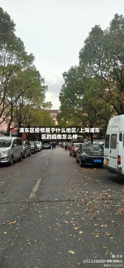 浦东区疫情属于什么地区/上海浦东区的疫情怎么样