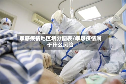 孝感疫情地区划分图表/孝感疫情属于什么风险