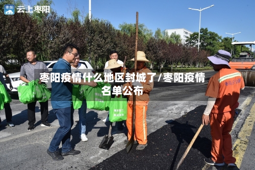 枣阳疫情什么地区封城了/枣阳疫情名单公布