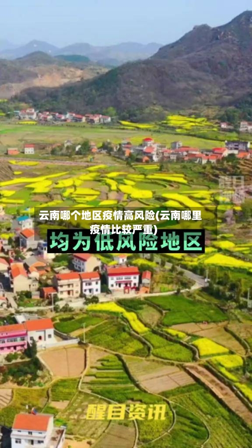 云南哪个地区疫情高风险(云南哪里疫情比较严重)