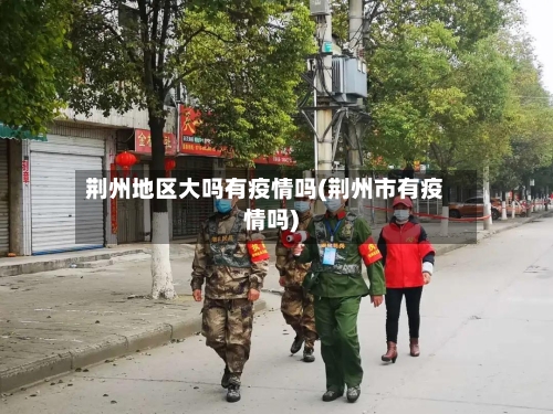 荆州地区大吗有疫情吗(荆州市有疫情吗)