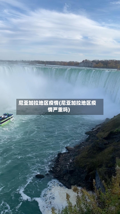 尼亚加拉地区疫情(尼亚加拉地区疫情严重吗)