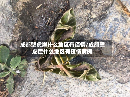 成都壁虎崖什么地区有疫情/成都壁虎崖什么地区有疫情病例