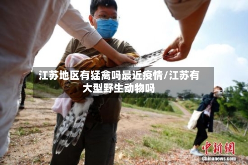 江苏地区有猛禽吗最近疫情/江苏有大型野生动物吗