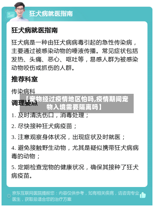 【宠物经过疫情地区怕吗,疫情期间宠物入境需要隔离吗】