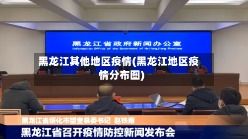 黑龙江其他地区疫情(黑龙江地区疫情分布图)
