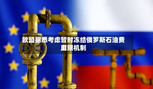 欧盟据悉考虑暂时冻结俄罗斯石油费用
上限机制