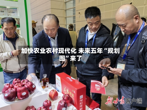 加快农业农村现代化 未来五年“规划图”来了