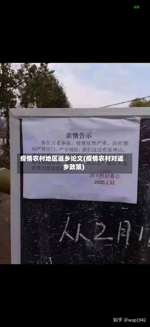 疫情农村地区返乡论文(疫情农村对返乡政策)