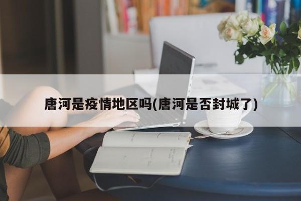唐河是疫情地区吗(唐河是否封城了)